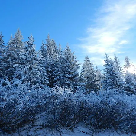 Cosy 60m² - 1850 - 4 Pers - Aux Pieds, Balcon, Parking, Wifi Inclus - Fr-1-631-110 Apartment Courchevel